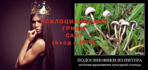 ешки Абдулино