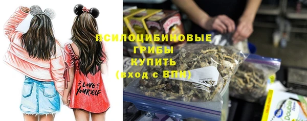 крисы Нефтекумск