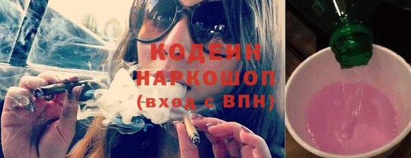 прущий лед Алзамай