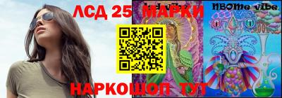 крисы Новокубанск