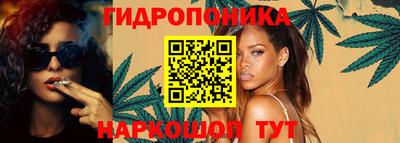 крисы Новокубанск