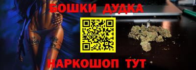 стаф Новодвинск