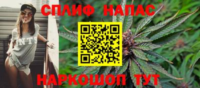крисы Новокубанск